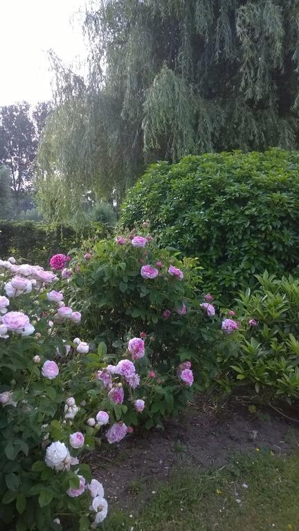 B&B Hier en Nu Heusden Exterior foto