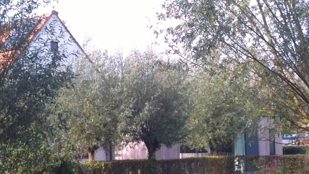 B&B Hier en Nu Heusden Exterior foto